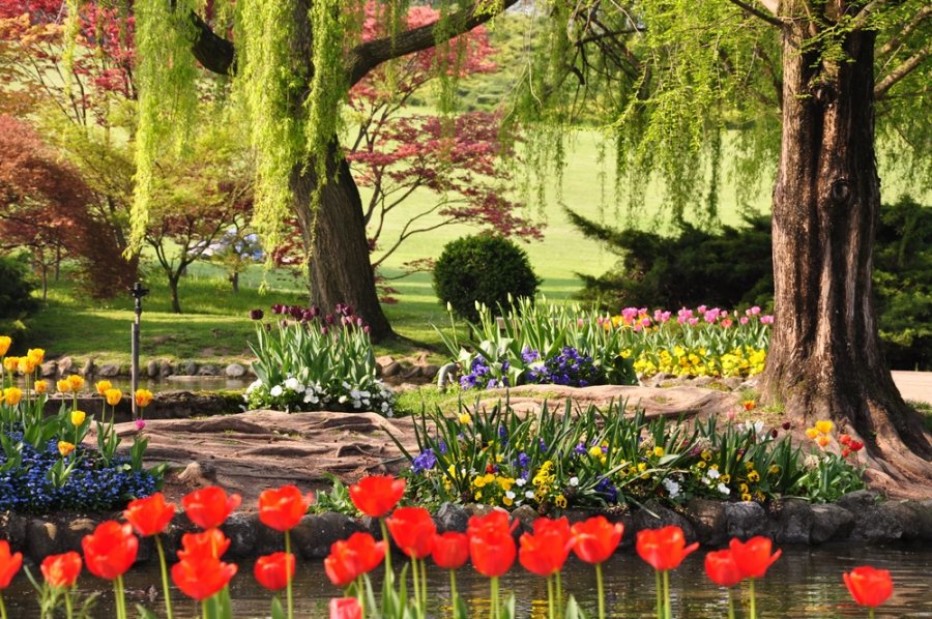 Intervista al Parco Giardino Sigurtà,uno dei tesori naturalistici che accoglie milioni di visitatori da tutto il mondo.