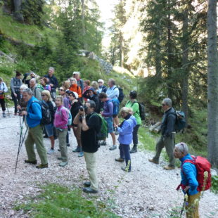 Grande successo per il trekking naturalistico di Cortina InCroda.