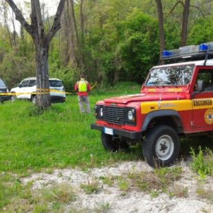 BOSCAIOLO SI INFORTUNA COLPITO DA UNA PIANTA