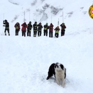 DUE INTERVENTI IN MONTAGNA