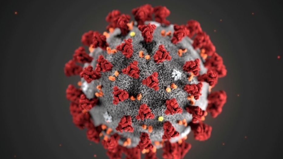 Aggiornamento sull’emergenza Coronavirus con il Governatore del Veneto