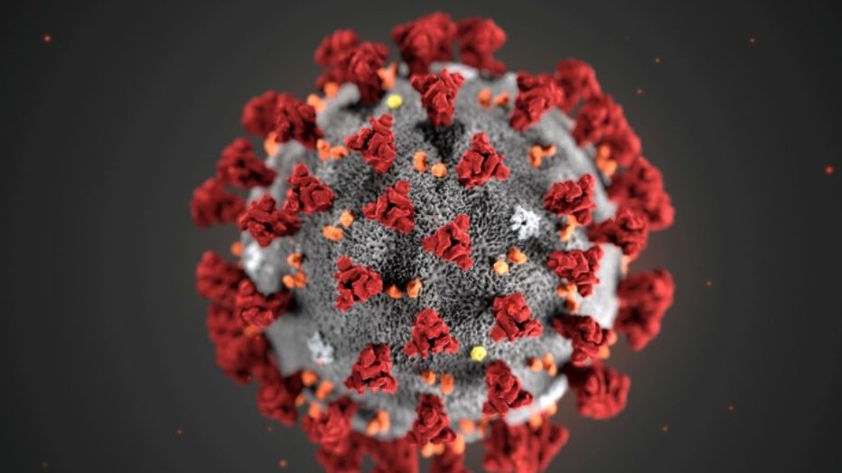 Intervista a Luca Zaia rigurado ai casi di CoronaVirus in Veneto