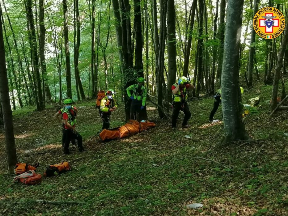 FUNGAIOLA RUZZOLA NEL BOSCO A LAMON