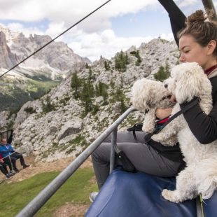 Vacanze a Cortina d’Ampezzo: anche i cani vanno in alta quota