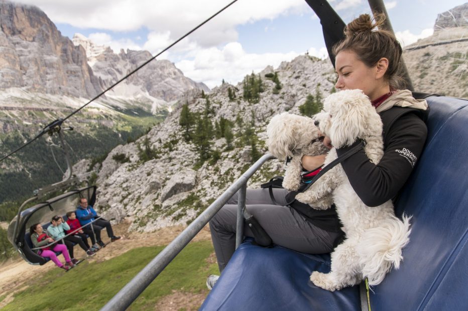 Vacanze a Cortina d’Ampezzo: anche i cani vanno in alta quota
