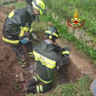 I pompieri salvano un cane incastrato in un tubo di scolo