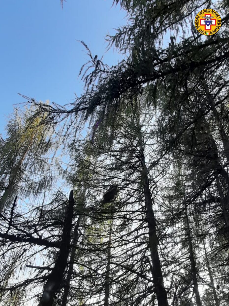 FINISCE TRA GLI ALBERI, RECUPERATA GIOVANE PILOTA DI PARAPENDIO