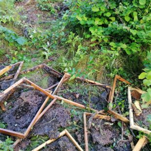 Ancora l’orso, stavolta ha colpito un apiario a Faè (Longarone)