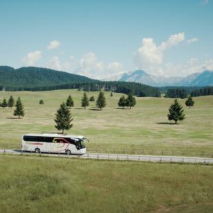 Dolomiti Bus e Cortina Express: Venezia e Cortina mai così vicine grazie ai viaggi intermodali con aereo, treno e bus.
