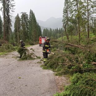 BELLUNO E TREVISO: OLTRE 70 CHIAMATE AI VIGILI DEL FUOCO PER DANNI DAL MALTEMPO