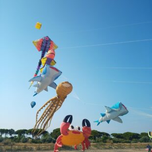 TUTTO PRONTO ALLA SPIAGGIA DI FARRA D’ALPAGO PER IL FESTIVAL DEGLI AQUILONI