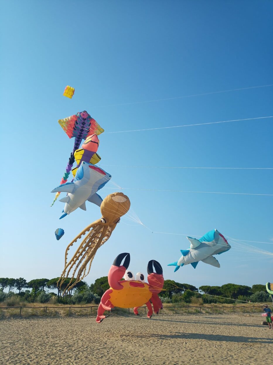 TUTTO PRONTO ALLA SPIAGGIA DI FARRA D’ALPAGO PER IL FESTIVAL DEGLI AQUILONI