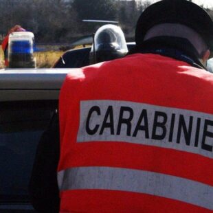 Servizio antidroga della Compagnia Carabinieri di Feltre: un arresto e una denuncia