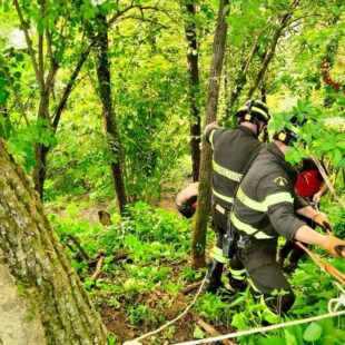 BELLUNO, SOCCORSO DAI VIGILI DEL FUOCO UN UOMO SCIVOLATO IN UNA ZONA BOSCHIVA IMPERVIA