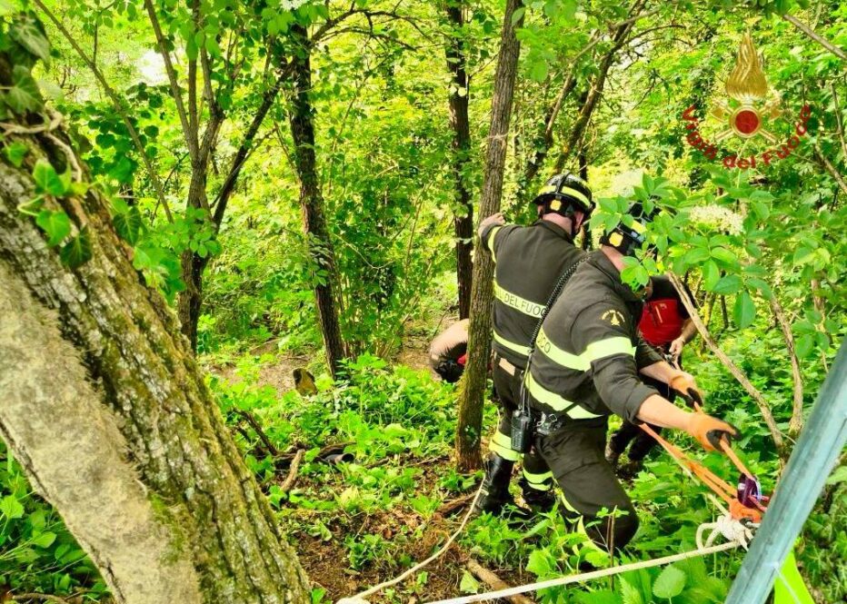 BELLUNO, SOCCORSO DAI VIGILI DEL FUOCO UN UOMO SCIVOLATO IN UNA ZONA BOSCHIVA IMPERVIA