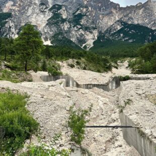 CI SARANNO NAVETTE AUTORIZZATE A TRANSITARE SULLLA SILVO-PASTORALE SOTTO LA SS 51, QUALORA VENGA CHIUSA