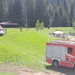 SALVATO UN BOVINO A SELVA DI CADORE