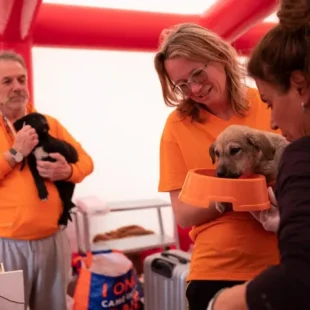 Il 10 dicembre si celebra la Giornata Internazionale dei Diritti degli Animali: ascolta l’intervista con Ester Kef e Fabio Frison dell’associazione “Animal Heroes”