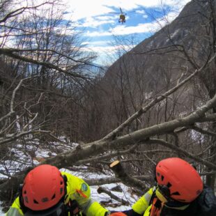 Boscaiolo si infortuna in Alpago