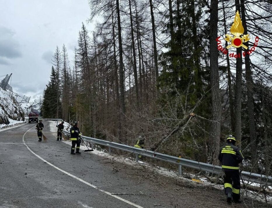 AGORDINO E VALBELLUNA. FORTI RAFFICHE DI VENTO: INTERVENTI PER ALBERI ABBATTUTI E STRUTTURE PERICOLANTI