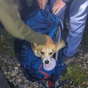 NUMEROSI INTERVENTI DEL SOCCORSO ALPINO E SPELEOLOGICO DI GIOVEDI’ 9 LUGLIO