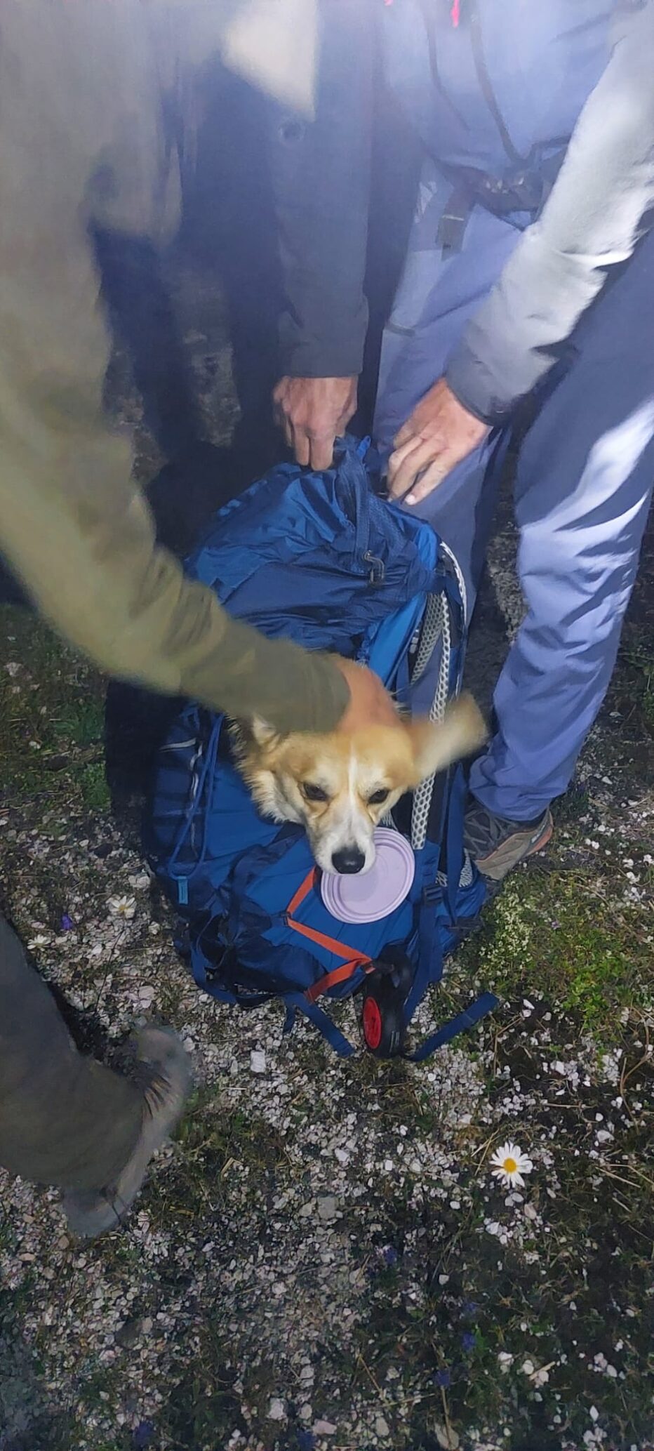 NUMEROSI INTERVENTI DEL SOCCORSO ALPINO E SPELEOLOGICO DI GIOVEDI’ 9 LUGLIO